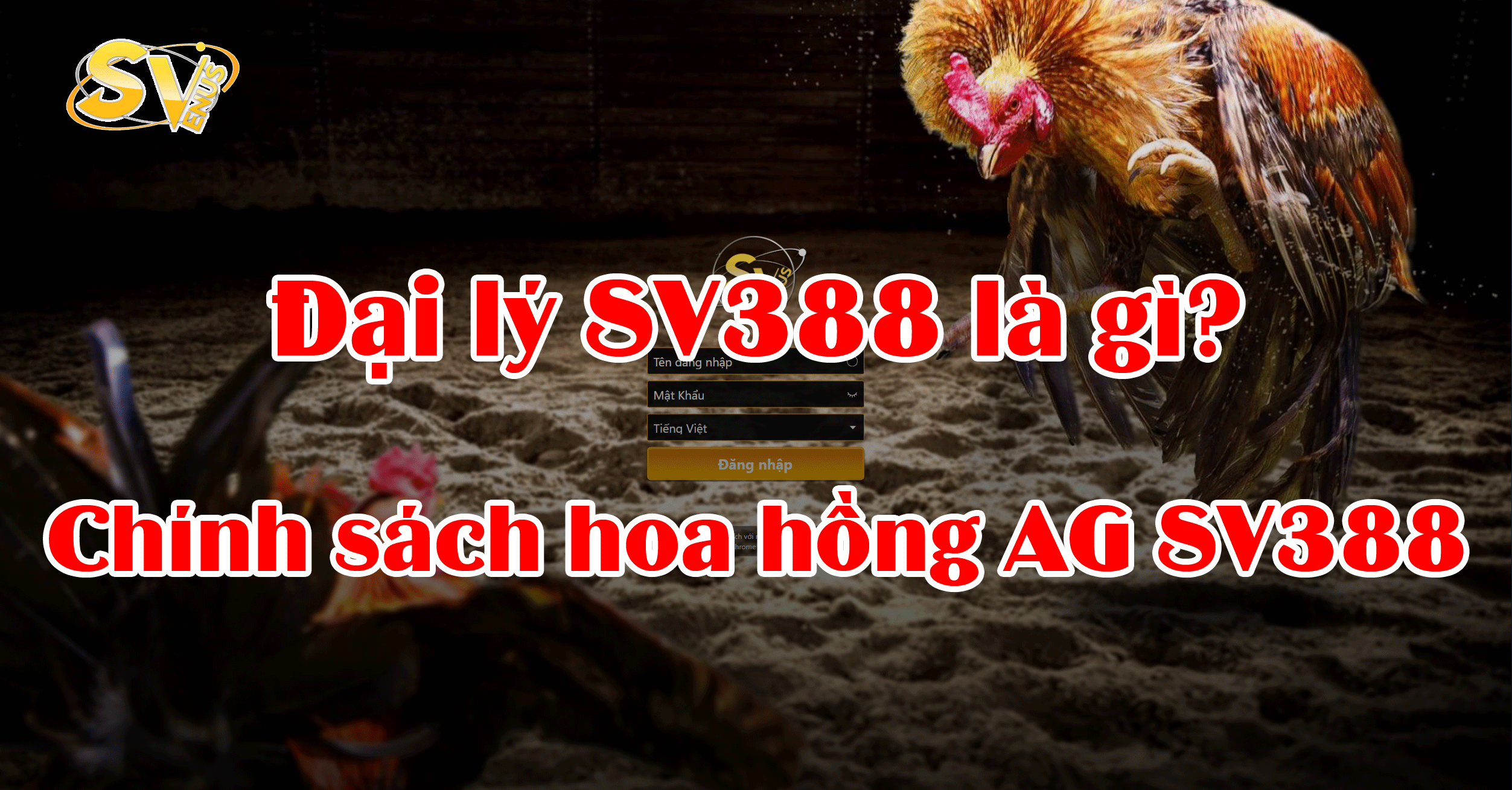 Đại lý SV388 - Chính sách hoa hồng AG SV388