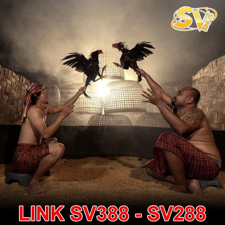 Link SV388 - SV288 cập nhật mới nhất