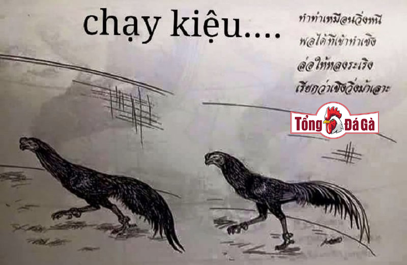 Gà chạy kiệu