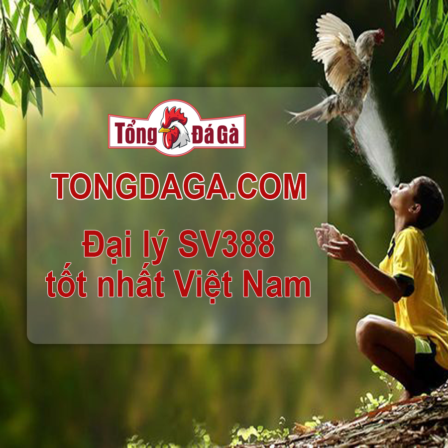 Chơi SV388 tốt nhất Việt Nam